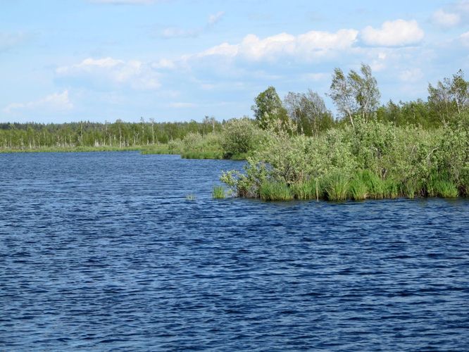 Maakond: Tartumaa Veekogu nimi: Soitsejärv Pildistamise aeg: 28. mai 2012 Pildistaja: H. Timm Pildistamise koht: teadmata Asimuut: