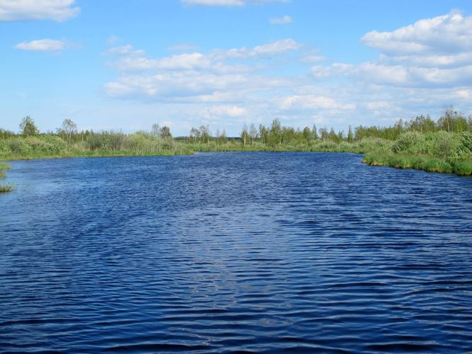 Maakond: Tartumaa Veekogu nimi: Soitsejärv Pildistamise aeg: 28. mai 2012 Pildistaja: H. Timm Pildistamise koht: teadmata Asimuut: