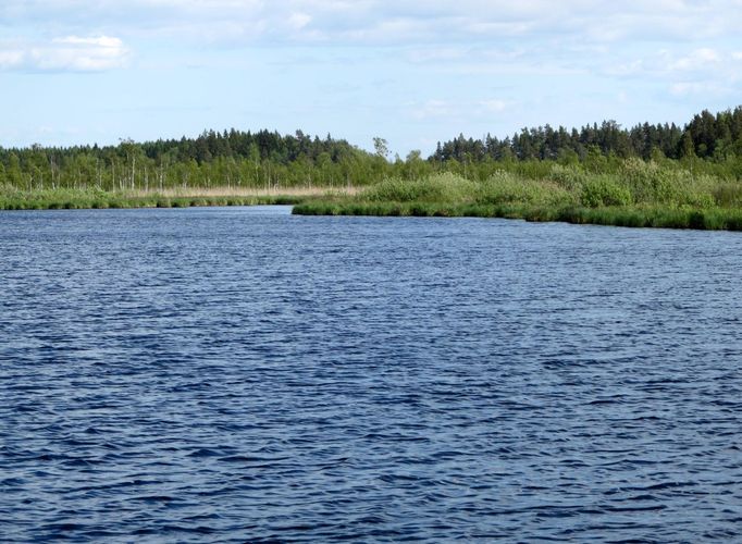 Maakond: Tartumaa Veekogu nimi: Soitsejärv Pildistamise aeg: 28. mai 2012 Pildistaja: H. Timm Pildistamise koht: teadmata Asimuut: