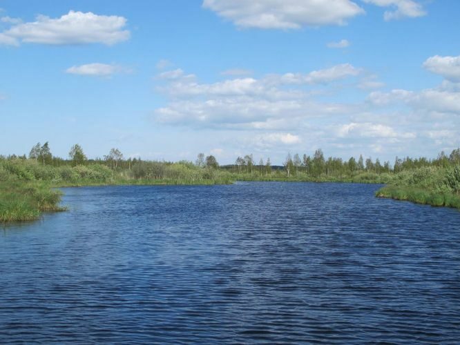 Maakond: Tartumaa Veekogu nimi: Soitsejärv Pildistamise aeg: 28. mai 2012 Pildistaja: H. Timm Pildistamise koht: teadmata Asimuut: