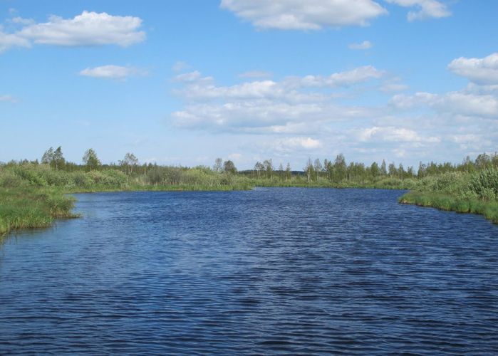 Maakond: Tartumaa Veekogu nimi: Soitsejärv Pildistamise aeg: 28. mai 2012 Pildistaja: H. Timm Pildistamise koht: teadmata Asimuut: