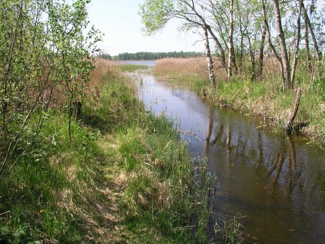 Maakond: Tartumaa Veekogu nimi: Soitsjärve väljavool Pildistamise aeg: 24. mai 2007 Pildistaja: H. Timm Pildistamise koht: teadmata Asimuut: