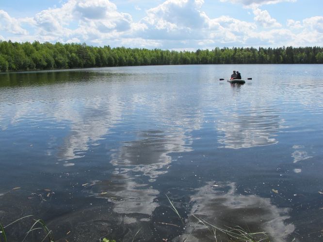 Maakond: Tartumaa Veekogu nimi: Tsirkjärv Pildistamise aeg: 28. mai 2012 Pildistaja: H. Timm Pildistamise koht: teadmata Asimuut: