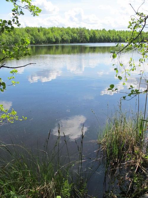 Maakond: Tartumaa Veekogu nimi: Tsirkjärv Pildistamise aeg: 28. mai 2012 Pildistaja: H. Timm Pildistamise koht: teadmata Asimuut: