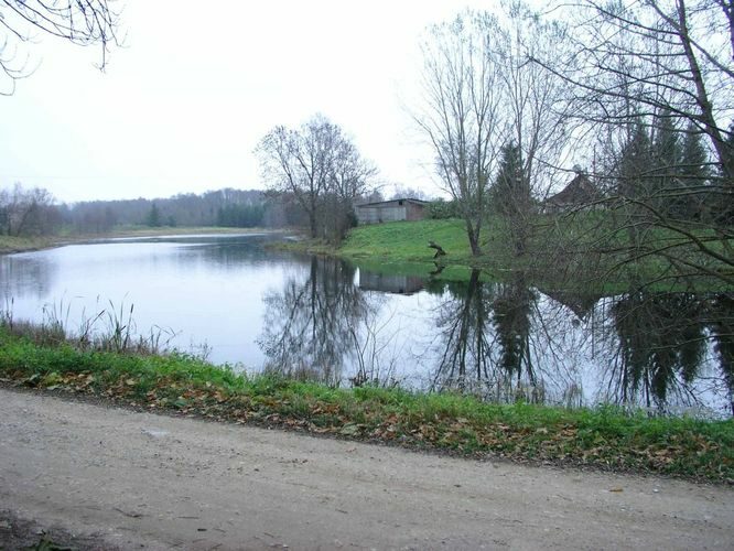 Maakond: Tartumaa Veekogu nimi: Ubesoo oja Pildistamise aeg: 4. november 2004 Pildistaja: H. Timm Pildistamise koht: Rannu paisjärv Asimuut: