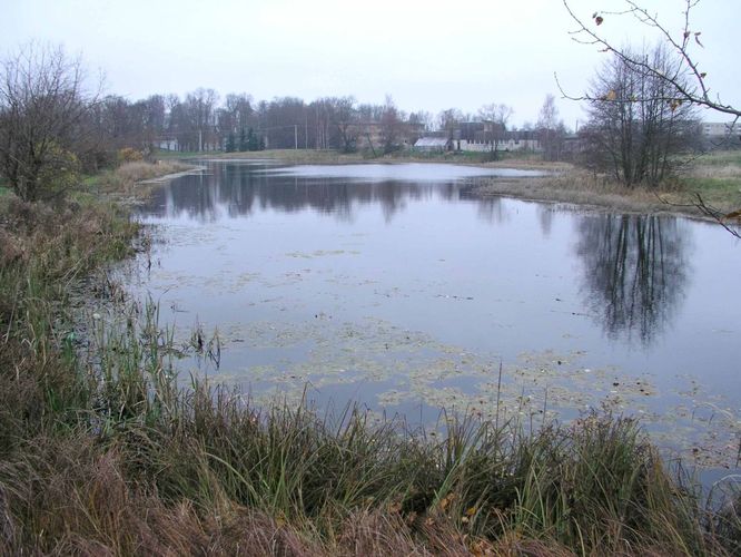 Maakond: Tartumaa Veekogu nimi: Ubesoo oja Pildistamise aeg: 4. november 2004 Pildistaja: H. Timm Pildistamise koht: Rannu paisjärv Asimuut: