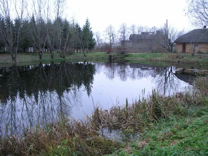 Maakond: Tartumaa Veekogu nimi: Ubesoo oja Pildistamise aeg: 4. november 2004 Pildistaja: H. Timm Pildistamise koht: Rannu paisjärv Asimuut: