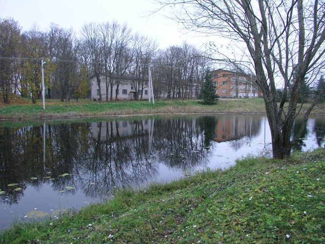 Maakond: Tartumaa Veekogu nimi: Ubesoo oja Pildistamise aeg: 4. november 2004 Pildistaja: H. Timm Pildistamise koht: Rannu paisjärv Asimuut: