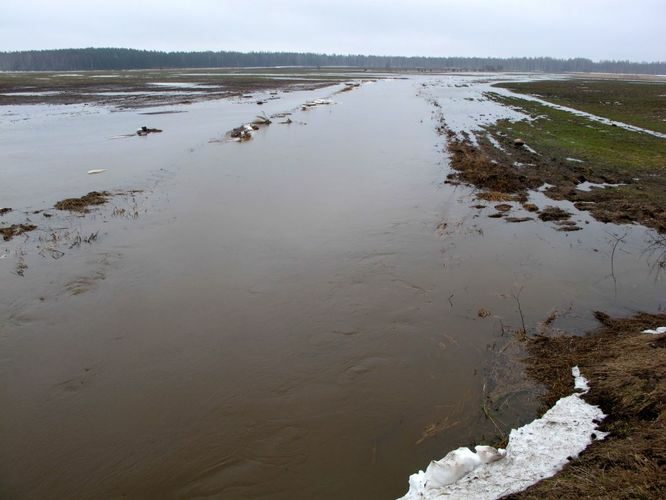 Maakond: Tartumaa Veekogu nimi: Ubesoo oja Pildistamise aeg: aprill 2011 Pildistaja: H. Timm Pildistamise koht: teadmata Asimuut: