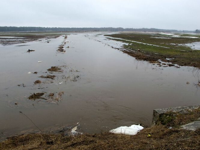 Maakond: Tartumaa Veekogu nimi: Ubesoo oja Pildistamise aeg: aprill 2011 Pildistaja: H. Timm Pildistamise koht: teadmata Asimuut: