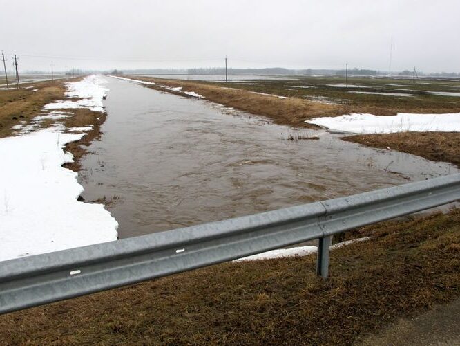 Maakond: Tartumaa Veekogu nimi: Ubesoo oja Pildistamise aeg: aprill 2011 Pildistaja: H. Timm Pildistamise koht: teadmata Asimuut: