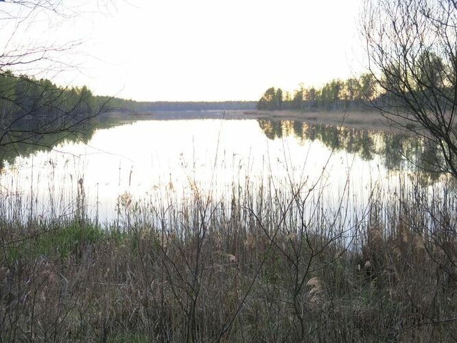 Maakond: Tartumaa Veekogu nimi: Ulila raba turbaauk Pildistamise aeg: 8. mai 2014 Pildistaja: H. Timm Pildistamise koht: teadmata Asimuut: