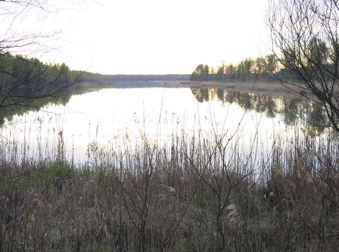 Maakond: Tartumaa Veekogu nimi: Ulila raba turbaauk Pildistamise aeg: 8. mai 2014 Pildistaja: H. Timm Pildistamise koht: teadmata Asimuut: