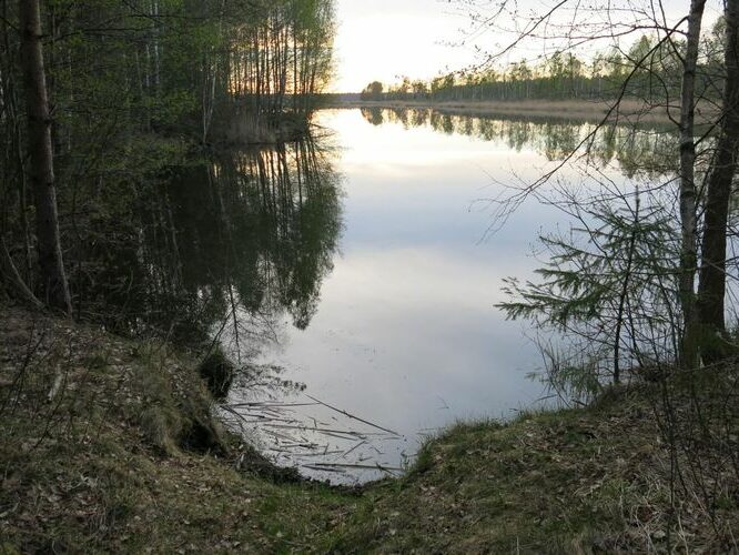 Maakond: Tartumaa Veekogu nimi: Ulila raba turbaauk Pildistamise aeg: 8. mai 2014 Pildistaja: H. Timm Pildistamise koht: teadmata Asimuut: