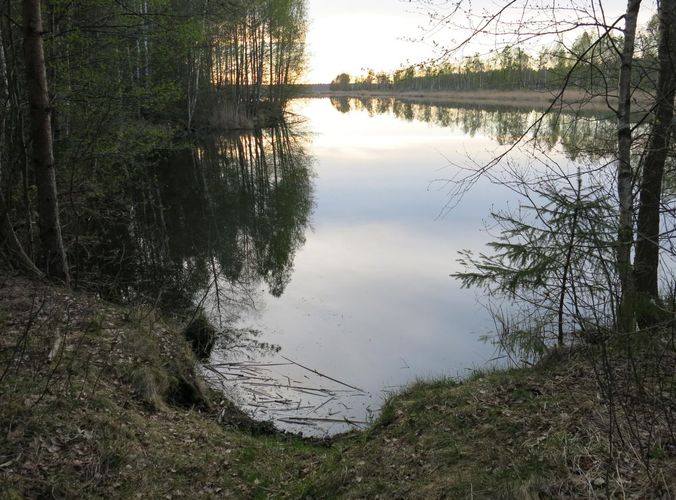 Maakond: Tartumaa Veekogu nimi: Ulila raba turbaauk Pildistamise aeg: 8. mai 2014 Pildistaja: H. Timm Pildistamise koht: teadmata Asimuut: