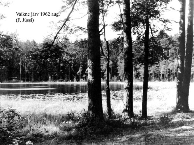 Maakond: Tartumaa Veekogu nimi: Vaikne järv Pildistamise aeg: august 1962 Pildistaja: F. Jüssi (Eesti Looduse arhiiv) Pildistamise koht: NW kaldalt Asimuut: SSE