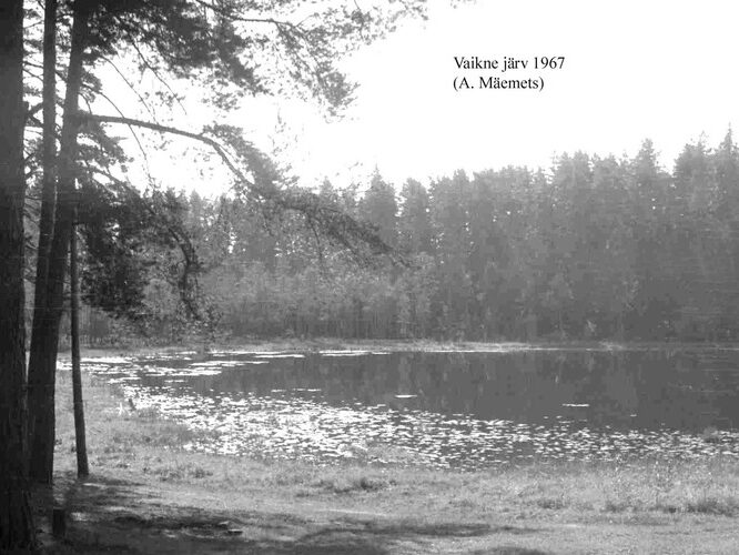 Maakond: Tartumaa Veekogu nimi: Vaikne järv Pildistamise aeg: 1967 Pildistaja: A. Mäemets Pildistamise koht: NE kaldalt Asimuut: S