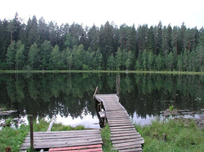 Maakond: Tartumaa Veekogu nimi: Vaikne järv Pildistamise aeg: 4. august 2006 Pildistaja: H. Timm Pildistamise koht: teadmata Asimuut: