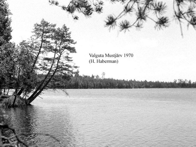 Maakond: Tartumaa Veekogu nimi: Valguta Mustjärv Pildistamise aeg: teadmata Pildistaja: H. Haberman Pildistamise koht: teadmata Asimuut: