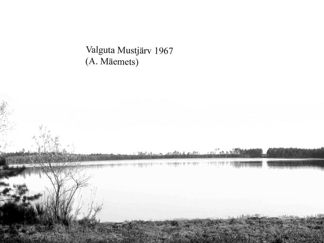 Maakond: Tartumaa Veekogu nimi: Valguta Mustjärv Pildistamise aeg: 1967 Pildistaja: A. Mäemets Pildistamise koht: teadmata Asimuut: