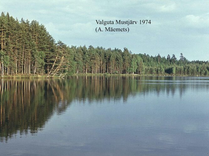 Maakond: Tartumaa Veekogu nimi: Valguta Mustjärv Pildistamise aeg: 1974 Pildistaja: A. Mäemets Pildistamise koht: teadmata Asimuut: