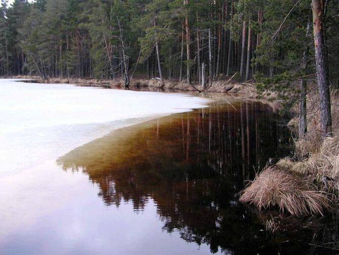 Maakond: Tartumaa Veekogu nimi: Valguta Mustjärv Pildistamise aeg: 22. märts 2004 Pildistaja: H. Timm Pildistamise koht: teadmata Asimuut: