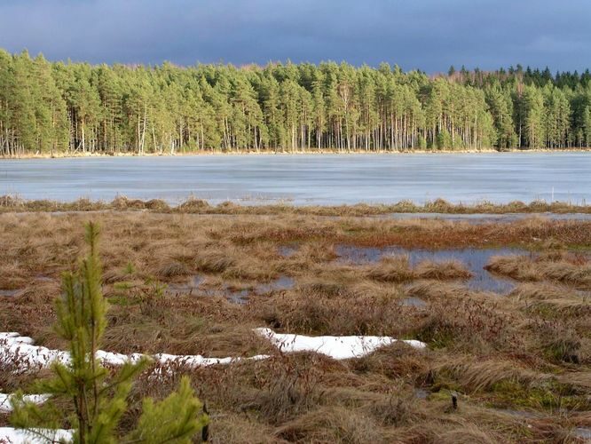 Maakond: Tartumaa Veekogu nimi: Valguta Mustjärv Pildistamise aeg: 22. märts 2004 Pildistaja: H. Timm Pildistamise koht: teadmata Asimuut: