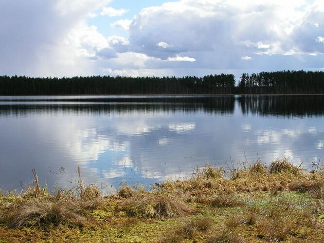 Maakond: Tartumaa Veekogu nimi: Valguta Mustjärv Pildistamise aeg: 11. aprill 2004 Pildistaja: H. Timm Pildistamise koht: teadmata Asimuut: