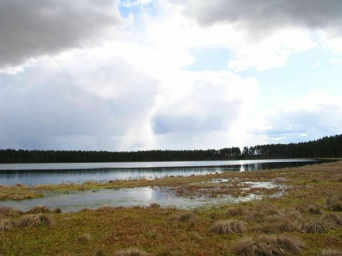 Maakond: Tartumaa Veekogu nimi: Valguta Mustjärv Pildistamise aeg: 11. aprill 2004 Pildistaja: H. Timm Pildistamise koht: teadmata Asimuut: