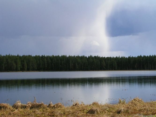 Maakond: Tartumaa Veekogu nimi: Valguta Mustjärv Pildistamise aeg: 11. aprill 2004 Pildistaja: H. Timm Pildistamise koht: teadmata Asimuut: