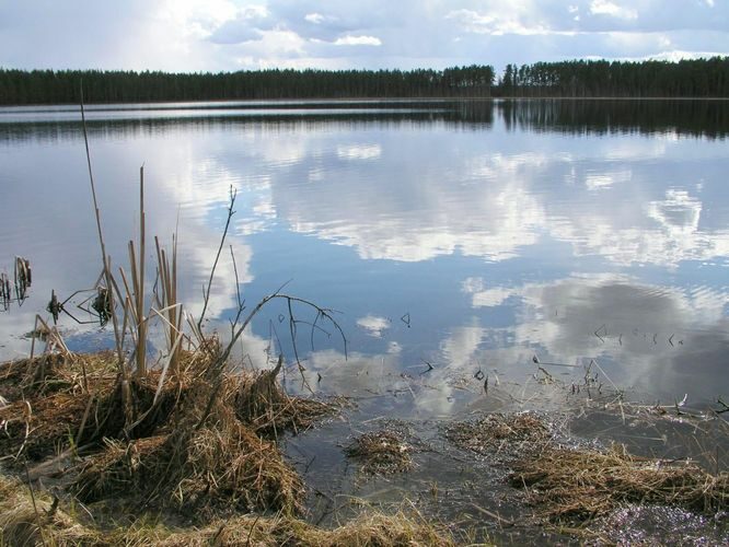 Maakond: Tartumaa Veekogu nimi: Valguta Mustjärv Pildistamise aeg: 11. aprill 2004 Pildistaja: H. Timm Pildistamise koht: teadmata Asimuut: