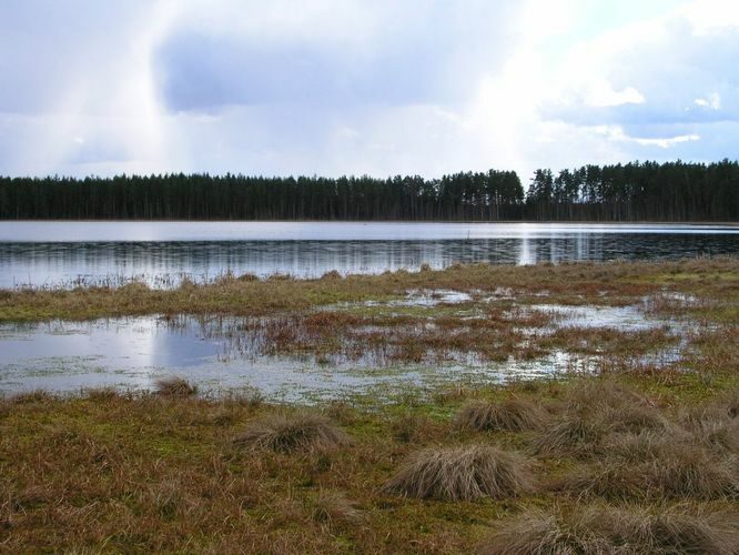 Maakond: Tartumaa Veekogu nimi: Valguta Mustjärv Pildistamise aeg: 11. aprill 2004 Pildistaja: H. Timm Pildistamise koht: teadmata Asimuut: