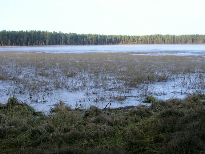 Maakond: Tartumaa Veekogu nimi: Valguta Mustjärv Pildistamise aeg: 11. detsember 2004 Pildistaja: H. Timm Pildistamise koht: teadmata Asimuut: