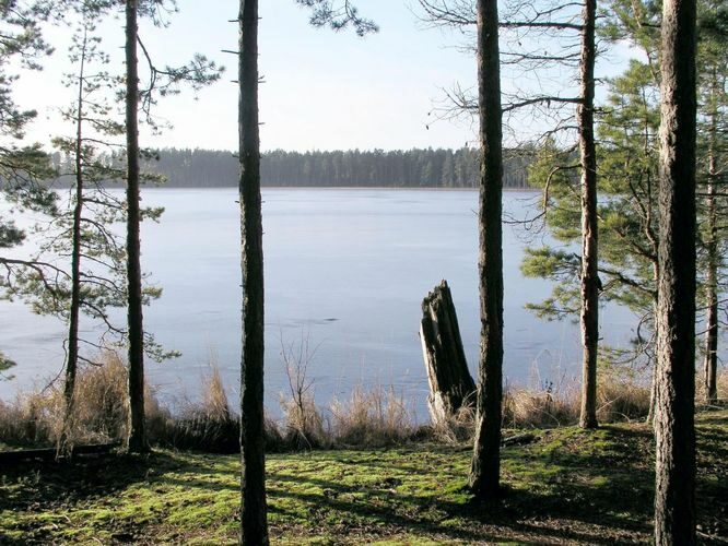 Maakond: Tartumaa Veekogu nimi: Valguta Mustjärv Pildistamise aeg: 11. detsember 2004 Pildistaja: H. Timm Pildistamise koht: teadmata Asimuut: