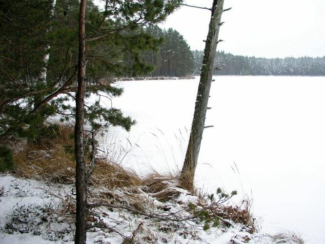 Maakond: Tartumaa Veekogu nimi: Valguta Mustjärv Pildistamise aeg: 16. oktoober 2005 Pildistaja: H. Timm Pildistamise koht: teadmata Asimuut: