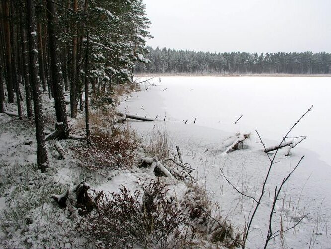 Maakond: Tartumaa Veekogu nimi: Valguta Mustjärv Pildistamise aeg: 16. oktoober 2005 Pildistaja: H. Timm Pildistamise koht: teadmata Asimuut: