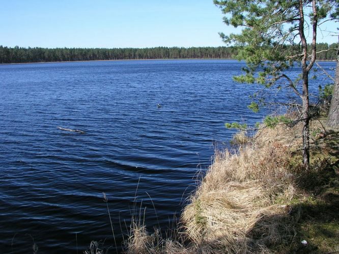 Maakond: Tartumaa Veekogu nimi: Valguta Mustjärv Pildistamise aeg: 16. oktoober 2005 Pildistaja: H. Timm Pildistamise koht: teadmata Asimuut: