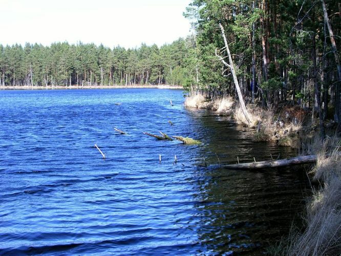 Maakond: Tartumaa Veekogu nimi: Valguta Mustjärv Pildistamise aeg: 16. oktoober 2005 Pildistaja: H. Timm Pildistamise koht: teadmata Asimuut: