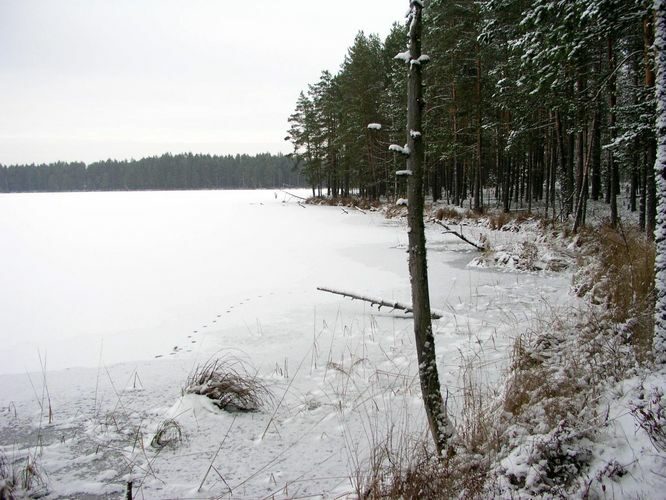 Maakond: Tartumaa Veekogu nimi: Valguta Mustjärv Pildistamise aeg: 16. oktoober 2005 Pildistaja: H. Timm Pildistamise koht: teadmata Asimuut: