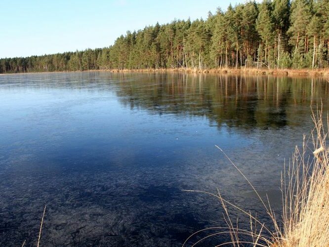 Maakond: Tartumaa Veekogu nimi: Valguta Mustjärv Pildistamise aeg: 5. november 2006 Pildistaja: H. Timm Pildistamise koht: teadmata Asimuut: