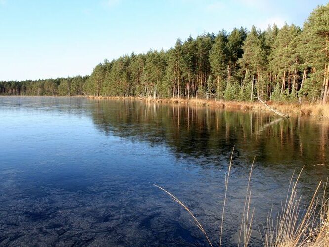 Maakond: Tartumaa Veekogu nimi: Valguta Mustjärv Pildistamise aeg: 5. november 2006 Pildistaja: H. Timm Pildistamise koht: teadmata Asimuut: