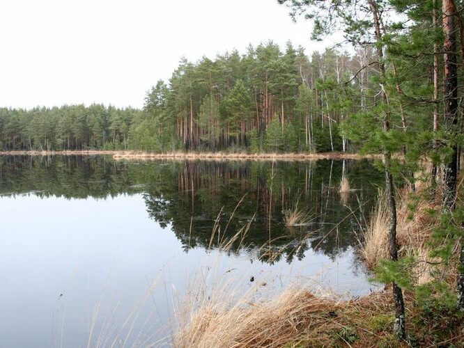 Maakond: Tartumaa Veekogu nimi: Valguta Mustjärv Pildistamise aeg: 1. jaanuar 2007 Pildistaja: H. Timm Pildistamise koht: teadmata Asimuut: