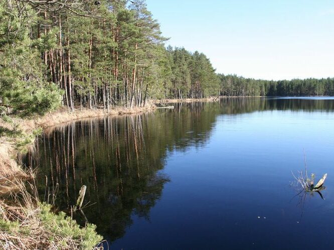 Maakond: Tartumaa Veekogu nimi: Valguta Mustjärv Pildistamise aeg: 1. aprill 2007 Pildistaja: H. Timm Pildistamise koht: teadmata Asimuut: