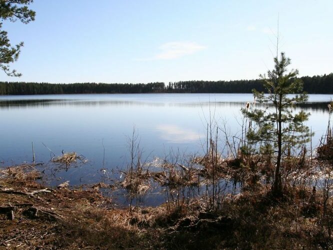 Maakond: Tartumaa Veekogu nimi: Valguta Mustjärv Pildistamise aeg: 1. aprill 2007 Pildistaja: H. Timm Pildistamise koht: teadmata Asimuut: