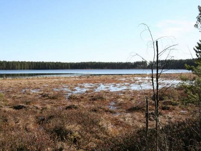 Maakond: Tartumaa Veekogu nimi: Valguta Mustjärv Pildistamise aeg: 1. aprill 2007 Pildistaja: H. Timm Pildistamise koht: teadmata Asimuut: