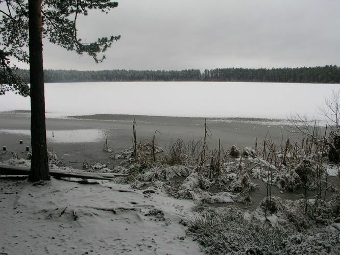 Maakond: Tartumaa Veekogu nimi: Valguta Mustjärv Pildistamise aeg: 1. jaanuar 2008 Pildistaja: H. Timm Pildistamise koht: teadmata Asimuut: