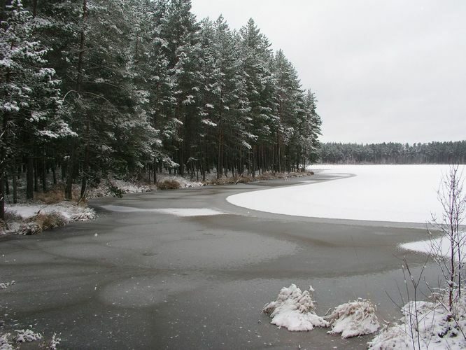 Maakond: Tartumaa Veekogu nimi: Valguta Mustjärv Pildistamise aeg: 1. jaanuar 2008 Pildistaja: H. Timm Pildistamise koht: teadmata Asimuut: