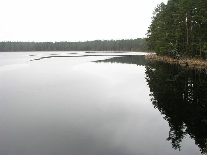 Maakond: Tartumaa Veekogu nimi: Valguta Mustjärv Pildistamise aeg: 12. aprill 2009 Pildistaja: H. Timm Pildistamise koht: teadmata Asimuut: