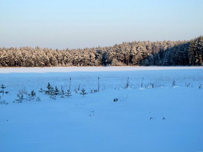 Maakond: Tartumaa Veekogu nimi: Valguta Mustjärv Pildistamise aeg: jaanuar 2010 Pildistaja: H. Timm Pildistamise koht: teadmata Asimuut: