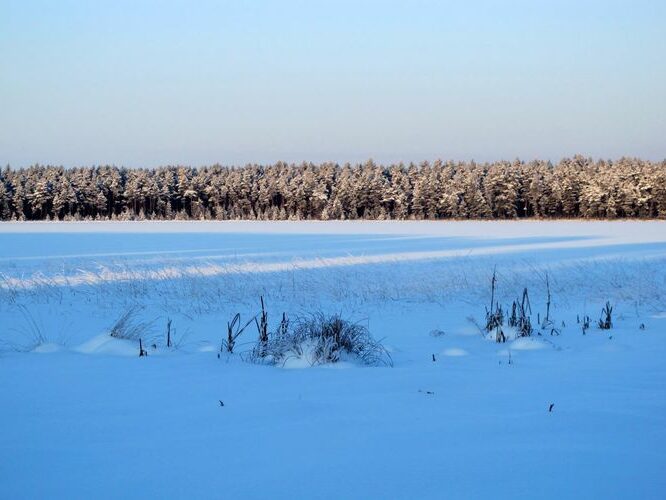 Maakond: Tartumaa Veekogu nimi: Valguta Mustjärv Pildistamise aeg: jaanuar 2010 Pildistaja: H. Timm Pildistamise koht: teadmata Asimuut: